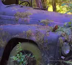 Sleek Purple Pickup Truck in a Parking Lot