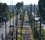 Train Tracks Under the Sunlight