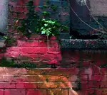 Pink Wall in the Heart of Skid Row