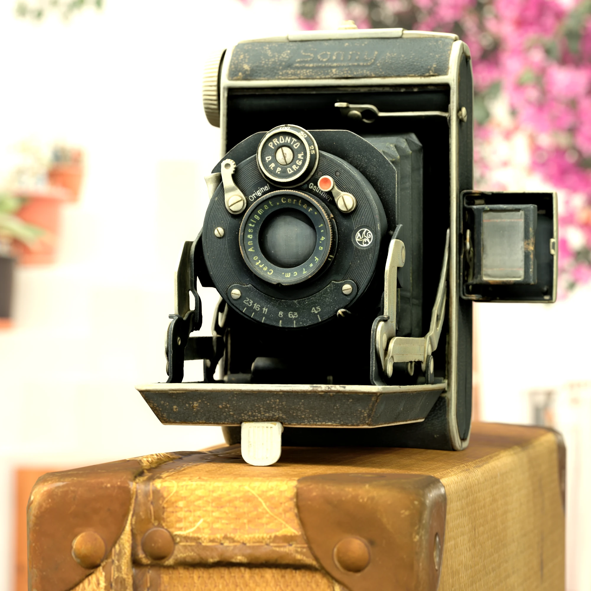 A 3D image of a vintage folding camera resting on a worn leather suitcase with a soft floral background.