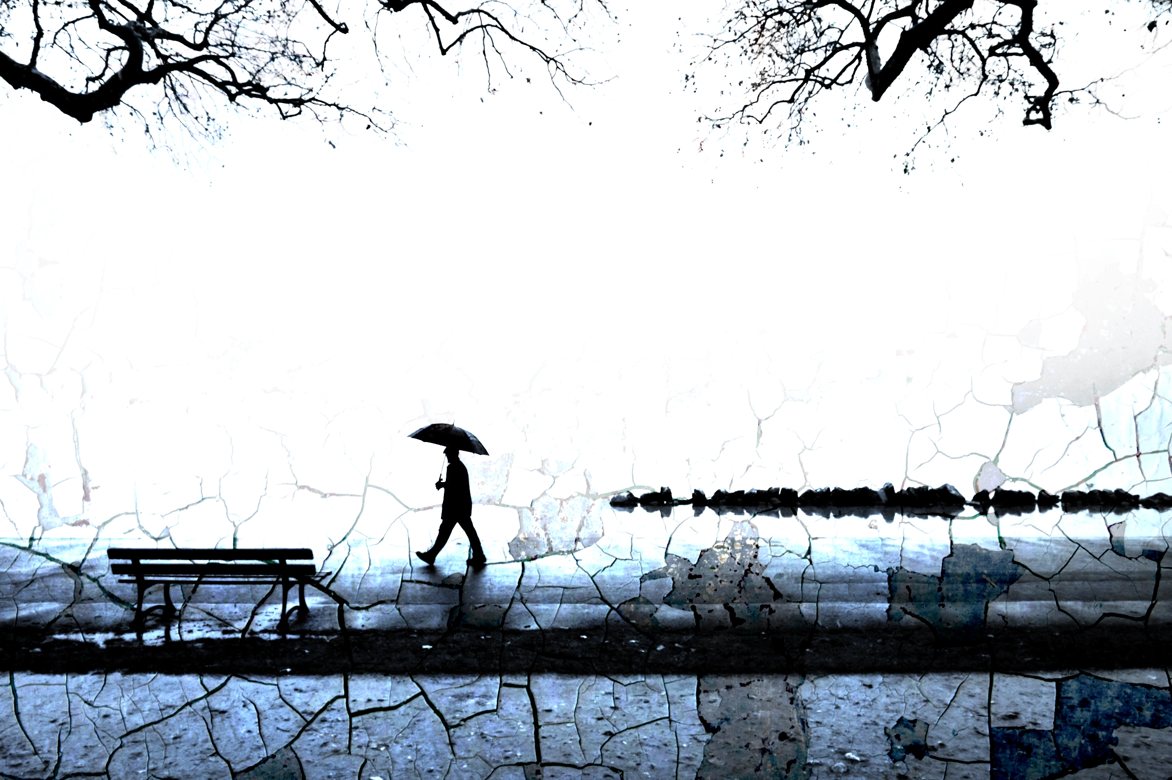 A double exposure image of a solitary person walking with an umbrella beneath bare trees, overlaid with a cracked texture resembling peeling paint.
